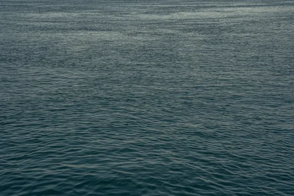 Kasino Jackpot Molly Podpora